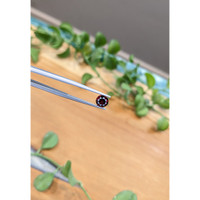 1.31 Ct. Rhodolite Garnet from Ceylon (Sri Lanka) Life Style