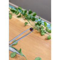 1.61 Ct. Rhodolite Garnet from Ceylon (Sri Lanka) Life Style