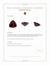 0.95 Ct. Garnet from Ceylon (Sri Lanka) Appraisal