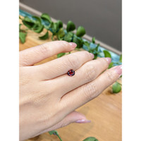 1.03 Ct. Garnet from Ceylon (Sri Lanka) Life Style