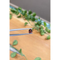 1.03 Ct. Garnet from Ceylon (Sri Lanka) Life Style