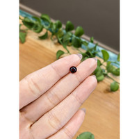 1.12 Ct. Garnet from Ceylon (Sri Lanka) Life Style