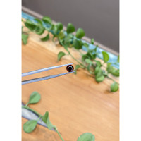 1.12 Ct. Garnet from Ceylon (Sri Lanka) Life Style