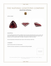 0.98 Ct. Garnet from Ceylon (Sri Lanka) Appraisal