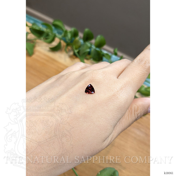 0.98 Ct. Garnet from Ceylon (Sri Lanka)