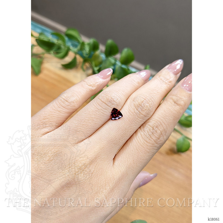 0.98 Ct. Garnet from Ceylon (Sri Lanka)