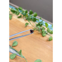 0.98 Ct. Garnet from Ceylon (Sri Lanka) Life Style