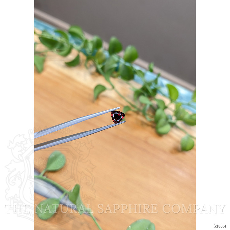 0.98 Ct. Garnet from Ceylon (Sri Lanka)