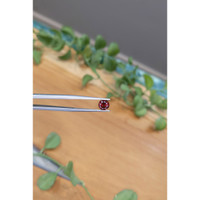 1.27 Ct. Garnet from Ceylon (Sri Lanka) Life Style