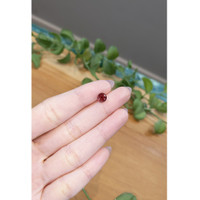 1.27 Ct. Garnet from Ceylon (Sri Lanka) Life Style