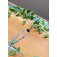 0.72 Ct. Garnet from Ceylon (Sri Lanka) Life Style