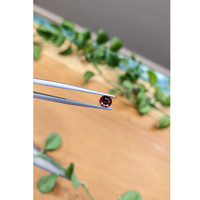 0.74 Ct. Garnet from Ceylon (Sri Lanka) Life Style