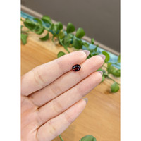1.75 Ct. Garnet from Ceylon (Sri Lanka) Life Style