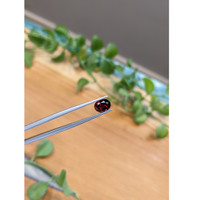 1.75 Ct. Garnet from Ceylon (Sri Lanka) Life Style