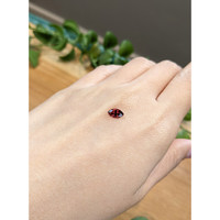 0.74 Ct. Garnet from Ceylon (Sri Lanka) Life Style