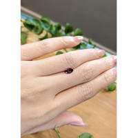 0.74 Ct. Garnet from Ceylon (Sri Lanka) Life Style