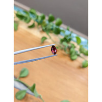 0.74 Ct. Garnet from Ceylon (Sri Lanka) Life Style