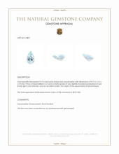 0.74 Ct. Blue Aquamarine from Mozambique Appraisal