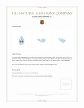 0.74 Ct. Aquamarine from Mozambique Appraisal