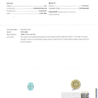2.20 Ct. Paraiba Tourmaline from Mozambique Scan Report