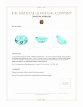 1.25 Ct. Bluish Green Paraiba Tourmaline from Mozambique Appraisal
