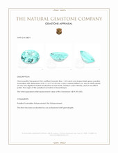 1.25 Ct. Paraiba Tourmaline from Mozambique Appraisal