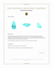 0.96 Ct. Paraiba Tourmaline from Mozambique Appraisal
