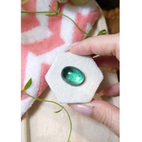 29.09 Ct. Tourmaline from Mozambique Life Style