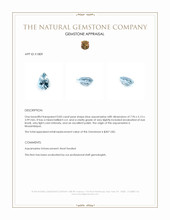 0.83 Ct. Aquamarine from Mozambique Appraisal