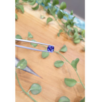3.35 Ct. Tanzanite from Tanzania Life Style