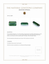 1.72 Ct. Tourmaline from Brazil Appraisal