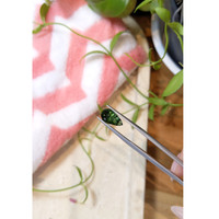 2.53 Ct. Tourmaline from Brazil Life Style