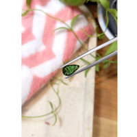 2.53 Ct. Tourmaline from Brazil Life Style