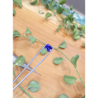 4.02 Ct. Tanzanite from Tanzania Life Style