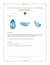 285.44 Ct. Blue Topaz from Brazil Appraisal