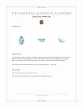 0.98 Ct. Blue Aquamarine from Mozambique Appraisal