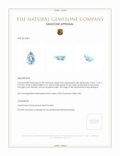 0.98 Ct. Aquamarine from Mozambique Appraisal