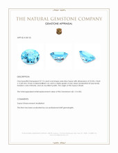 37.15 Ct. Swiss Blue Topaz from Brazil Appraisal