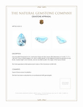 9.41 Ct. Sky Blue Topaz from Brazil Appraisal