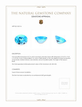 42.74 Ct. Swiss Blue Topaz from Brazil Appraisal