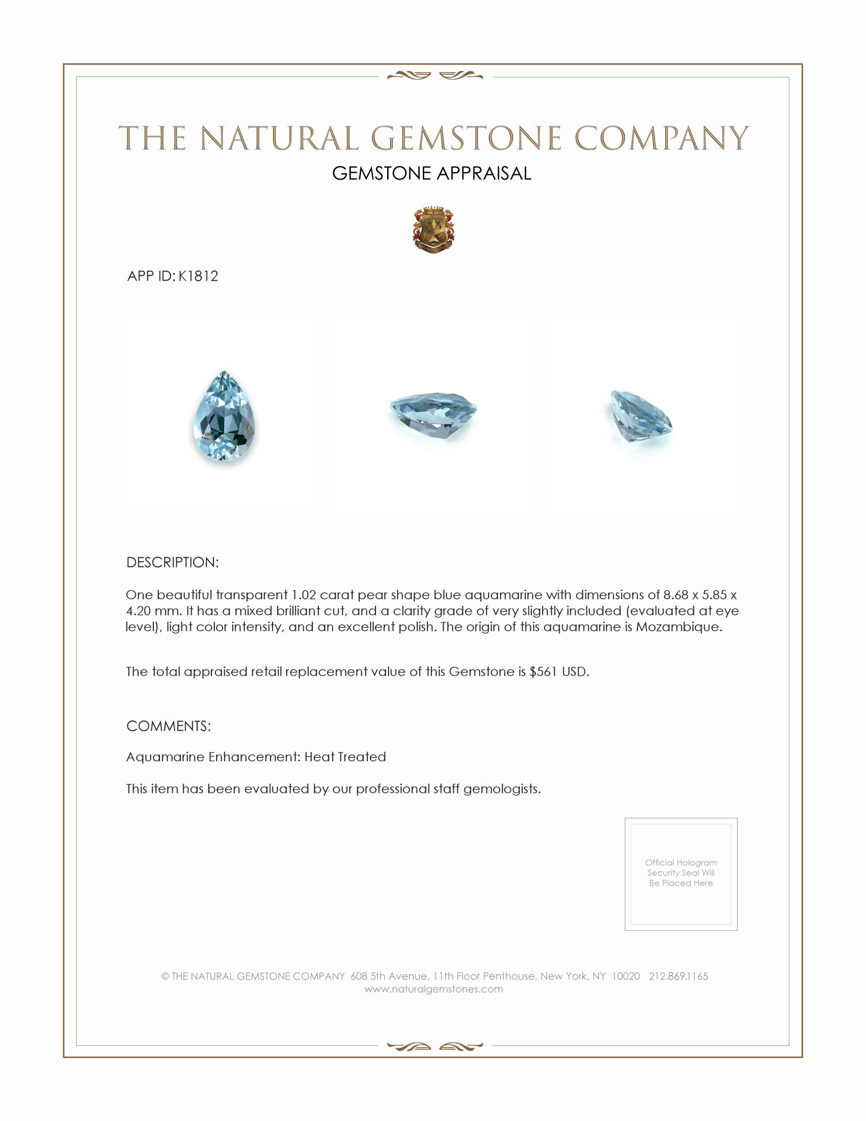 1.02 Ct. Aquamarine from Mozambique