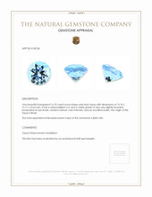 16.70 Ct. Swiss Blue Topaz from Brazil Appraisal