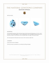 10.08 Ct. Sky Blue Topaz from Brazil Appraisal