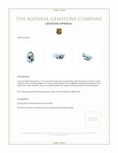 Jewelry Appraisal