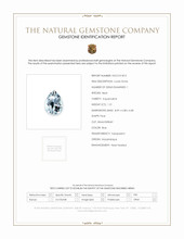 Jewelry Scan Report