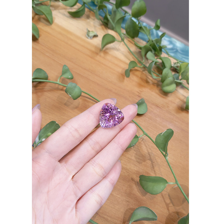 22.81 Ct. Amethyst from Brazil