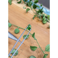 1.67 Ct. Tsavorite Garnet from Tanzania Life Style