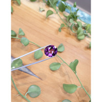 16.82 Ct. Amethyst from Brazil Life Style