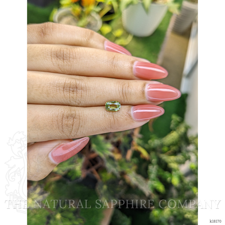 1.57 Ct. Chrysoberyl from Ceylon (Sri Lanka)