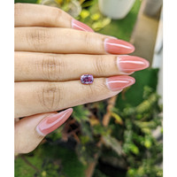 1.26 Ct. Spinel from Ceylon (Sri Lanka) Life Style